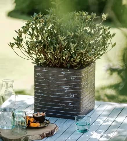 Shop All Planters